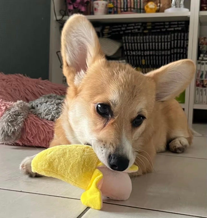 BANANA PELUCHE